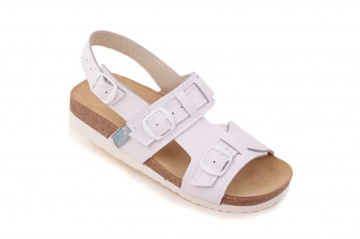 IMG_0220_retus_retus